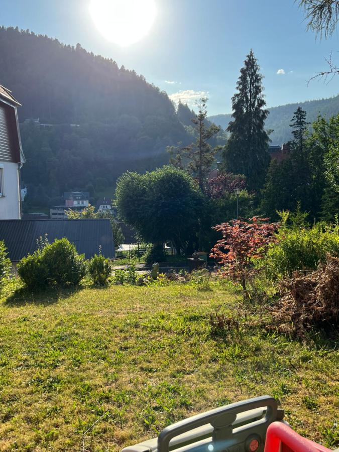 Appartement Viva La Wildbad à Bad Wildbad Extérieur photo