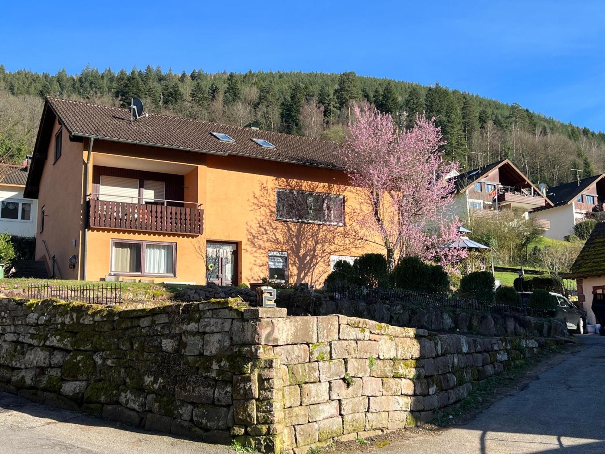 Appartement Viva La Wildbad à Bad Wildbad Extérieur photo