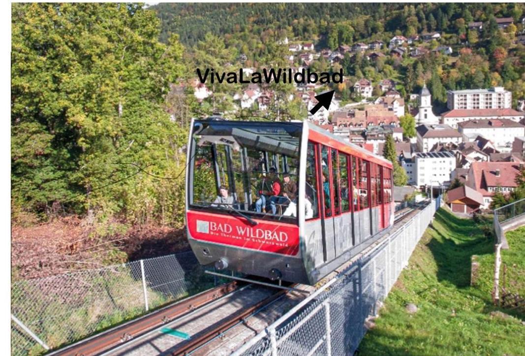 Appartement Viva La Wildbad à Bad Wildbad Extérieur photo
